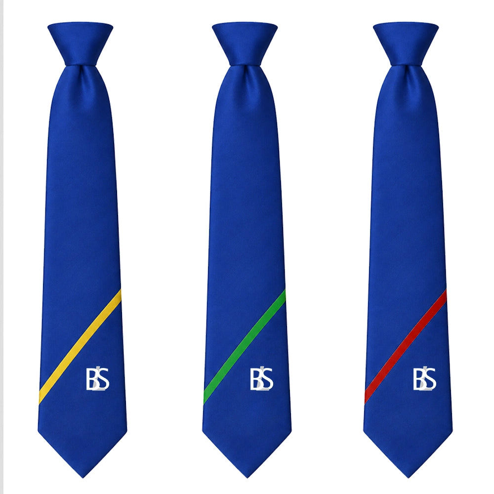 Brine Leas School Tie - Y11