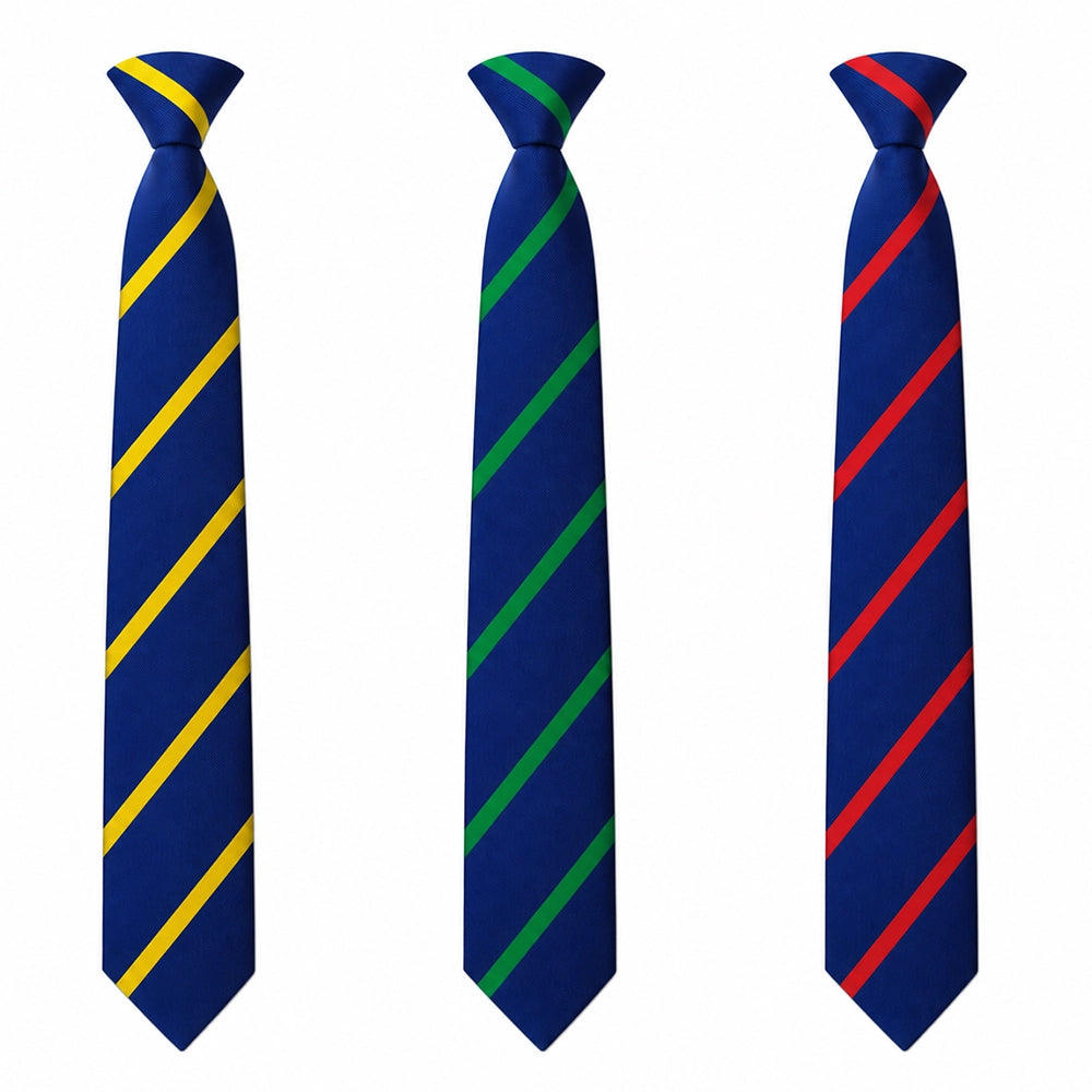 Brine Leas School Tie - Y7 - Y10