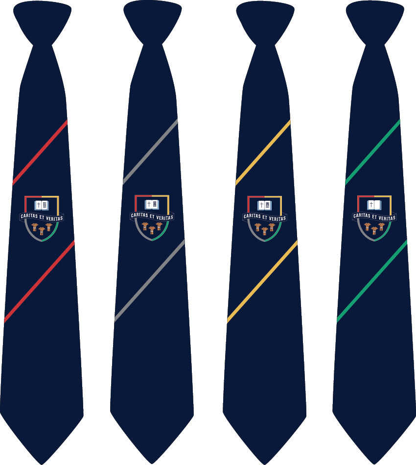 Hartford Church of England High School Tie - Year 11