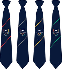 Hartford Church of England High School Tie - Year 11