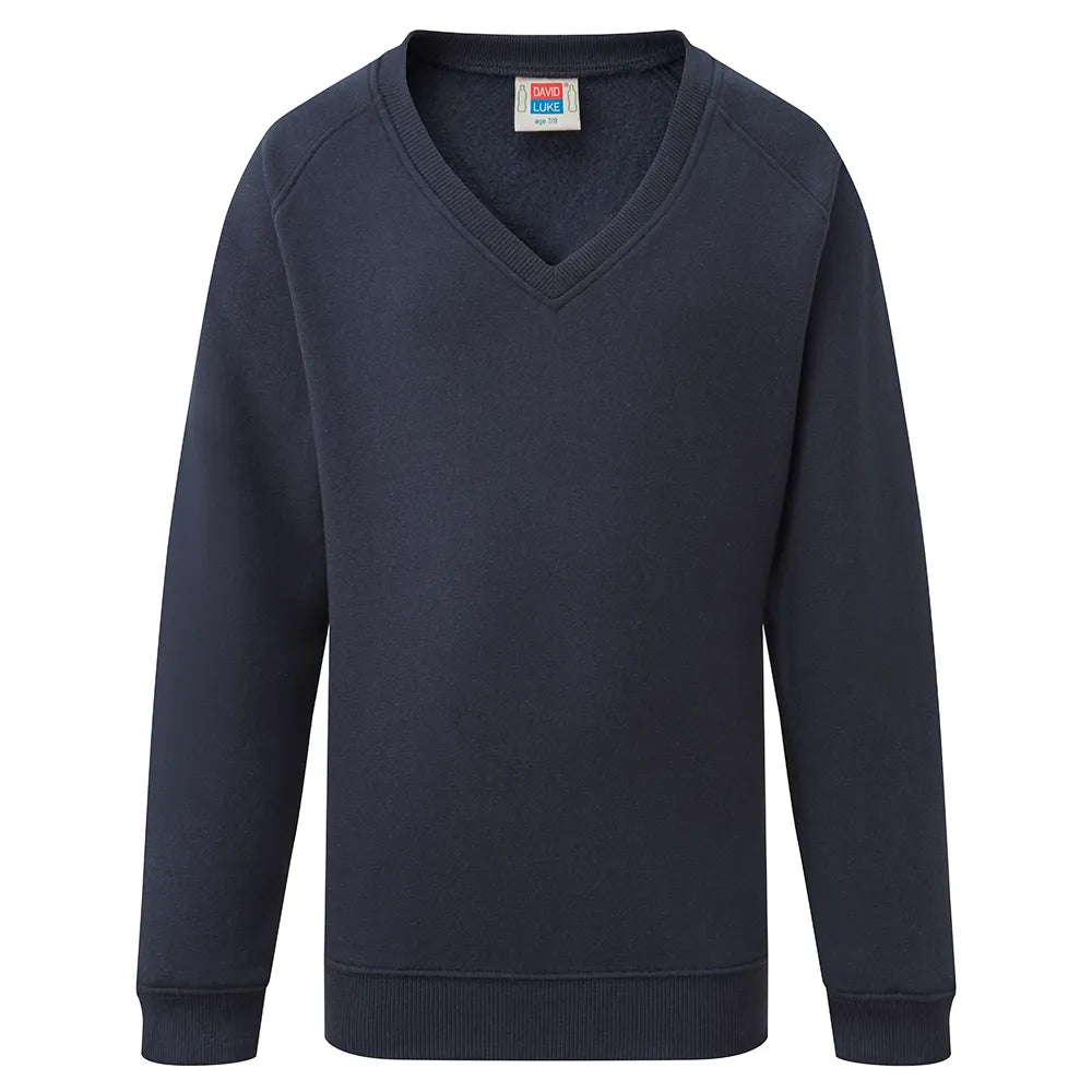 navy Junior Unisex V Neck School Jumper