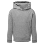 front view of Junior Eco Hoodie grey